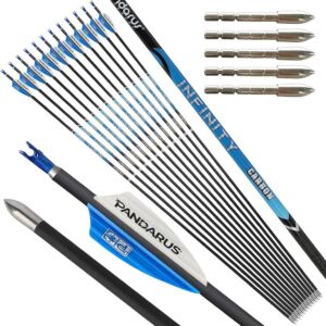 Pandarus Infinity Target Arrows - Image 1