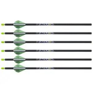 Tenpoint Acu-X RD Carbon Arrows 20"